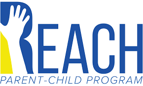 REACH SVHC通訊和報(bào)告要求