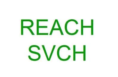 ECHA將N-(羥甲基)丙烯酰胺列為SVHC候選物質(zhì)，reach或測試224